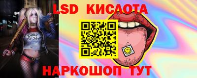 дживик Кунгур