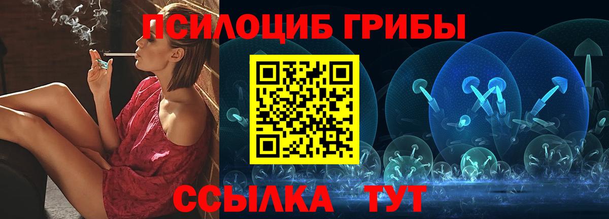 Галлюциногенные грибы Psilocybine cubensis Калининград