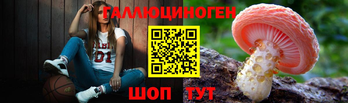 дарнет шоп  Вход с VPN  Калининград  Галлюциногенные грибы MAGIC MUSHROOMS 